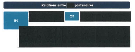 Figure 1 is a CSE graphic that depicts CSE’s NBS partners, including itself.